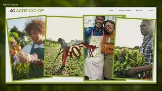 A Co-op for Black farmers is thriving in northern Minnesota