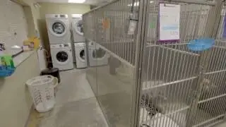 East Memphis Pet Hospital | Memphis, TN | Veterinarians