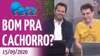 Descubra por que o IPO da Petz chamou tanta aten&ccedil;&atilde;o