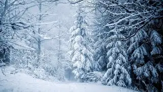 ASMR | Winter Ambience Sounds / Sonidos de Ambiente de Invierno