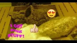 Unboxing The Bio Dude/Product Review