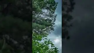 #happyrain
