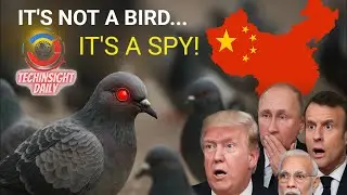 China&rsquo;s Spy Birds Are Real&hellip; And No One Noticed! 🐦😱