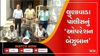 Mahisagar | Lunawada Police's 'Operation Bezuban', rescued 3 bulls on their way to the slaughterhouse after a film-style chase