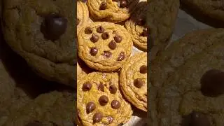 Pumpkin Chocolate Chip Cookies!