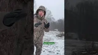 Вставай и поиграй со своим щенком! #мотивация