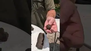 I found fossilized poop!💩