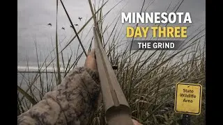 MINNESOTA DUCK HUNT DAY 3 THIEF LAKE GRIND FOR FOUR DUCKS PUBLIC LAND DUCK HUNTING