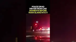 Police drag driver from car moments before train slams into it