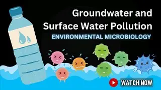 Groundwater and Surface Water Pollution: Sources, Effects, and Solutions