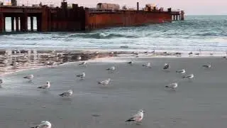 #myrtlebeach #usa#weekend #entertainment #home 