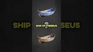 Ship of Theseus EXPLAINED in 30 Seconds!