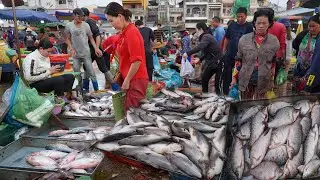 Cambodia Fish Market Scene - Second Site Distribute Fish, Dry Fish, Egg Fish & More in Early Morning