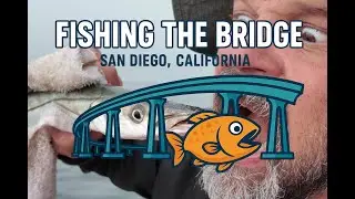 Relaxing San Diego Bay Fishing at Sunset | Mud Marlin Hookup & Affordable Gear