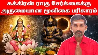 சுக்கிரன் ராகு சேர்க்கைக்கு அருமையான மூலிகை பரிகாரம் | sukran rahu serkai pariharam