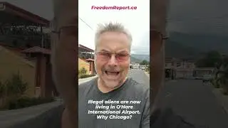ILLEGAL ALIENS MOVE IN TO CHICAGO O'HARE AIRPORT