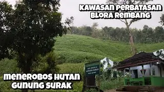 Jalur Gunung Surak Perbatasan Blora Rembang Potong Kompas Lebih Cepat Waspada Jalan Terjal
