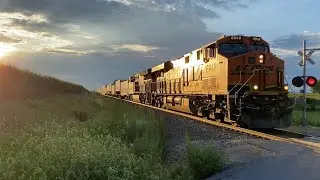 BNSF with a Beautiful Sunset! Rail fan in Background Excited About Locomotive Number! 8/11/2025