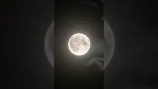 Full Buck Moon 2024