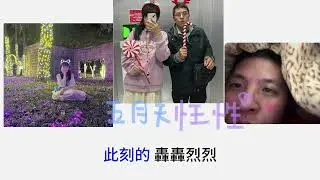 五月天— 任性 KTV字幕版