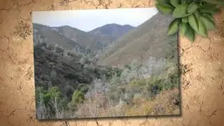 Attack Trail 6.9 Mountain Bike