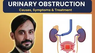 Urinary Obstruction | MLT Hub with kamran