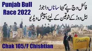 Punjab Bull Race All District Bahawalnagar || Bull Race Chak 105F Chishtian || Ctn Punjabi Tv