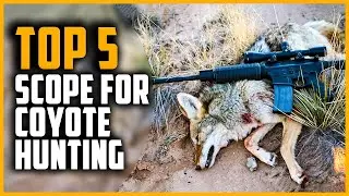 Best Scope for Coyote Hunting 2024 | Top 5 Best Night Vision Scope for Coyote Hunting