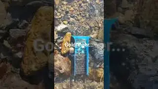 Canaletta Ricerca Oro Sluice Gold Find