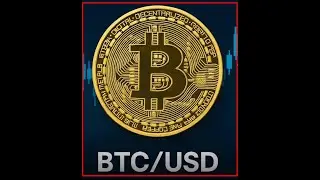 Sunday Evening in Bitcoin vs US Dollar #5k_Trader #trade_with_5k