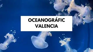 Oceanografic Valencia, Spain | Largest Aquarium in Europe| Walk with me