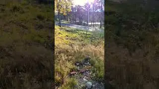 The Gentle Resistance: Why We Need the Feel of Grass? #ploughmonday #nature #naturelovers #mountains