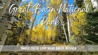 Hiking NEVADA : Baker Creek Loop | Great Basin National Park | 4K