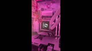 How to Fix Lian Li Hydroshift AIO Black Screen / Stuck on Home Screen