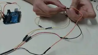 Confec&ccedil;&atilde;o - Prot&oacute;tipo - DigerBio - Circuito de Ci&ecirc;ncias 2024