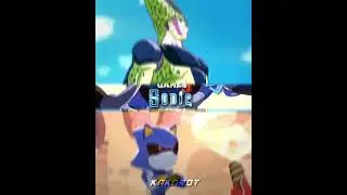 METAL SONIC VS PERFECT CELL