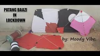 Patang baazi | lockdown | basant 2020 | kite festival | best patang/kites settings