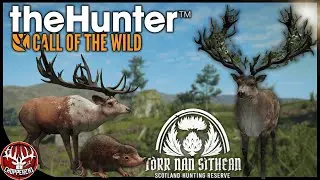 NEW RED DEER GRIND! Can We Break The Streak?  The Hunter: Call of the Wild