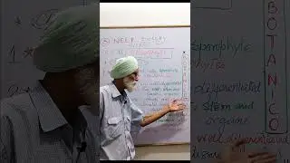 CH-3,Plant Kingdom , Pteridophytes (3) , Characterstics , NEET BIOLOGY , NCERT , Class -XI