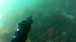 Robin & Sam Dive Part 2