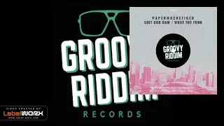 PaperMacheTiger - Shit God Dam (Original Mix)