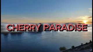 Cherry Paradise - Organic House/Live @ St. Petersburg,Russia