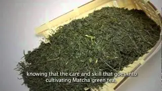 Unicity India - Bios Life E- Matcha