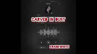 carved in dust