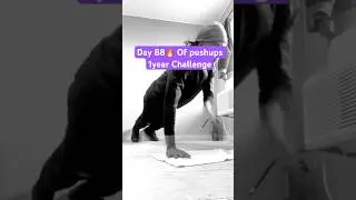 Day88🔥#gym #shorts #asmr #workout #bodybuilding #success #motivation