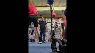 tiger's Gym #انگلستان #irani #اروپا #boxer #لیدز#leeds