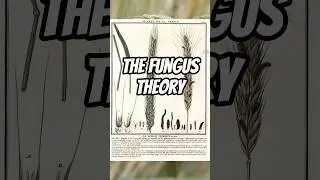 The Fungus Theory #ergot #mystery #history