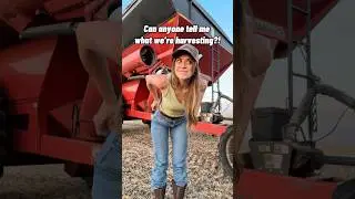 I have never run grain cart in this! 👀 #farming #farmlife #citygirl