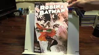 Robin and Batman Hardcover