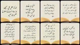 Heart Touching Urdu Quotes collection | Best  Urdu Quotes | Urdu poetry 